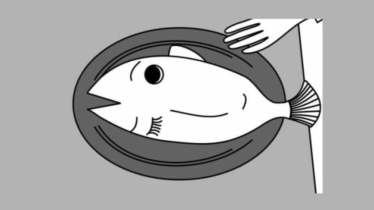 چهره را پیدا کنید