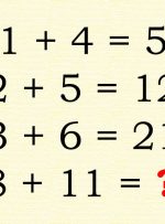 اگه ۱ + ۴ بشه ۵، ۲ + ۵ بشه ۱۲، ۳ + ۶ بشه ۲۱، ۸ + ۱۱ چند میشه؟