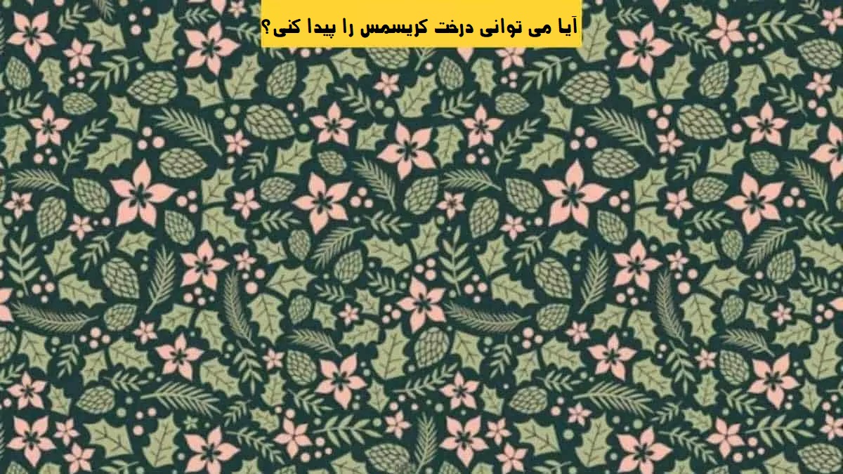 درخت رو پیدا کنید