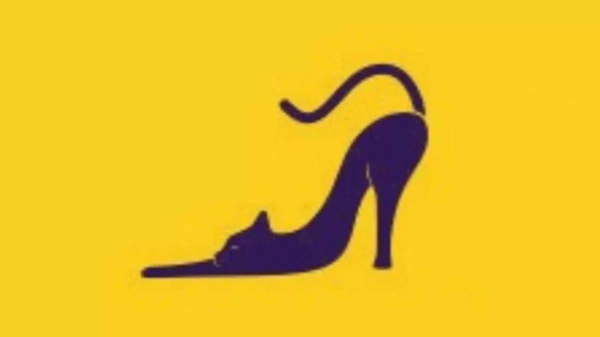 تست شخصیت کفش و گربه