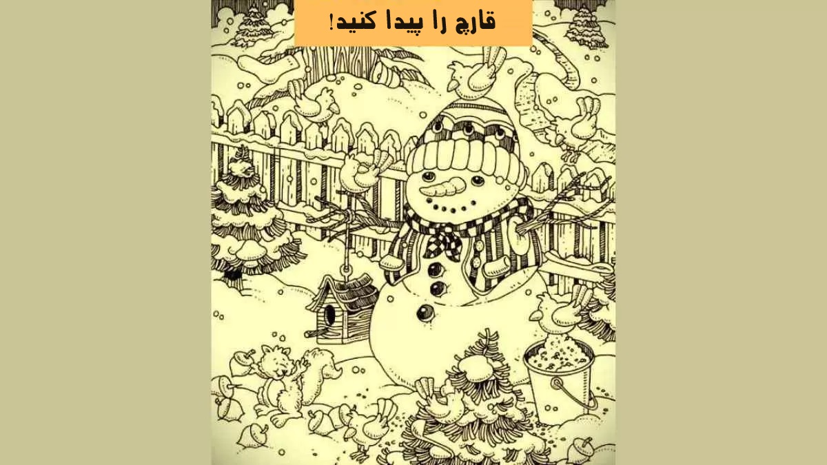 قارچ را پیدا کنید