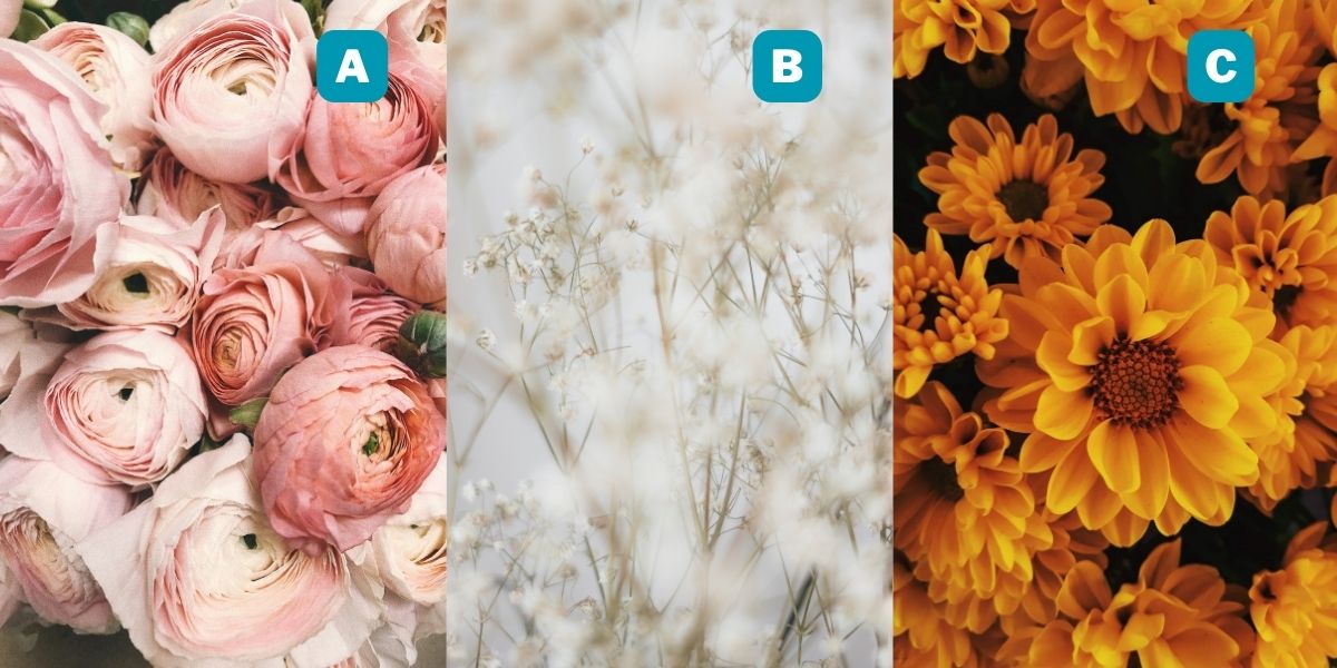 از خود راضی یا فروتن