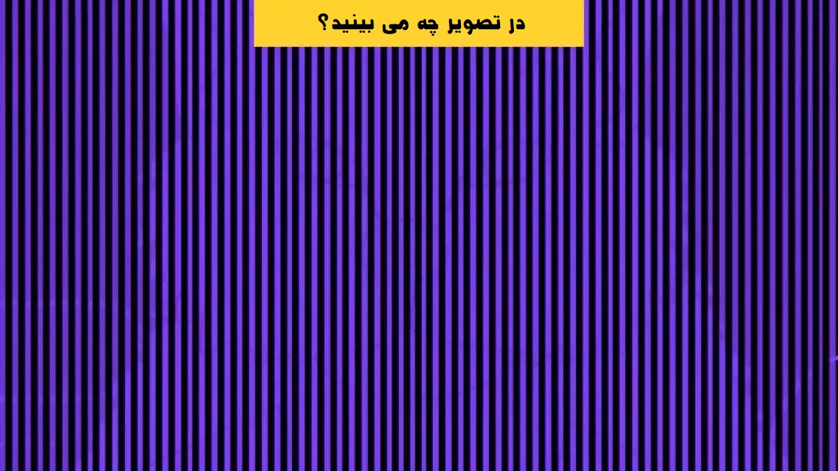 حیوان پنهان را پیدا کنید