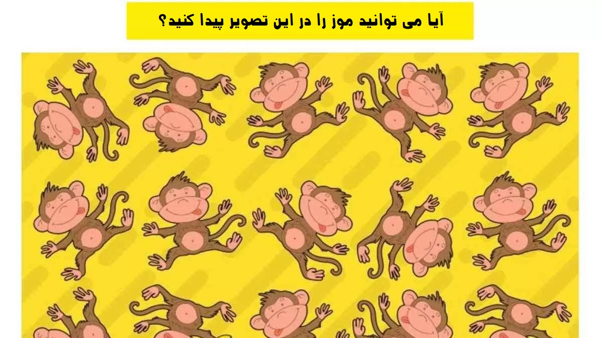 موز را پیدا کنید