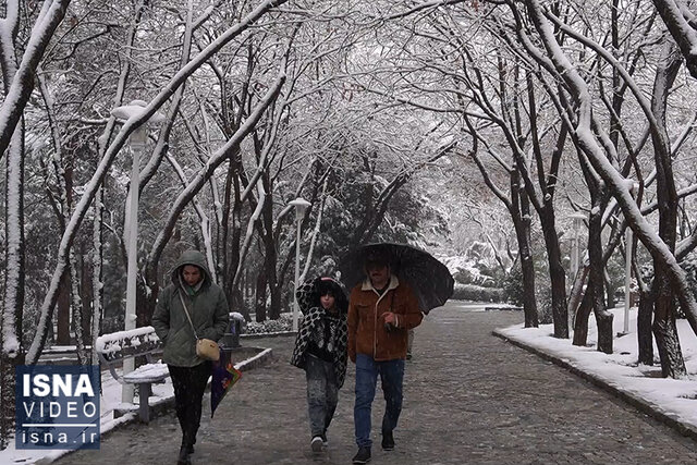 ویدیو/ بارش اولین برف زمستانی در اصفهان و بیرجند