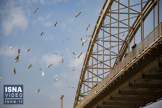ویدیو/ میهمانان پل سفید اهواز ویدیو/ میهمانان پل سفید اهواز