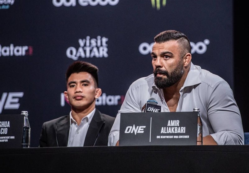 امیر علی‌اکبری , 