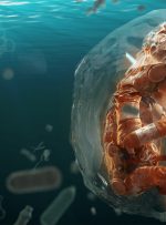 ویدیو/ راهیابی میکروپلاستیک‌ها به درون جفت جنین!