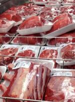 قول توزیع گوشت گوساله ۳۱۵ هزار تومانی/ جزییات تغییر قیمت