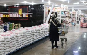 هشدار به وزیر جهاد کشاورزی /برنج گران می‌شود؟