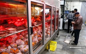 وضعیت بازار مرغ + قیمت گوشت در میادین-راهبرد معاصر