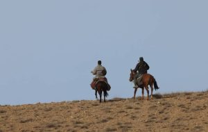 «لحظه‌های وحشی» به پخش نوروزی رسید-راهبرد معاصر