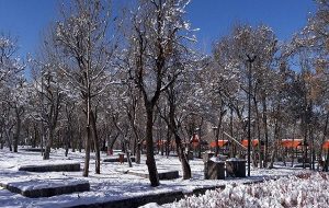 احتمال سرما‌زدگی باغات در پی برودت هوا-راهبرد معاصر