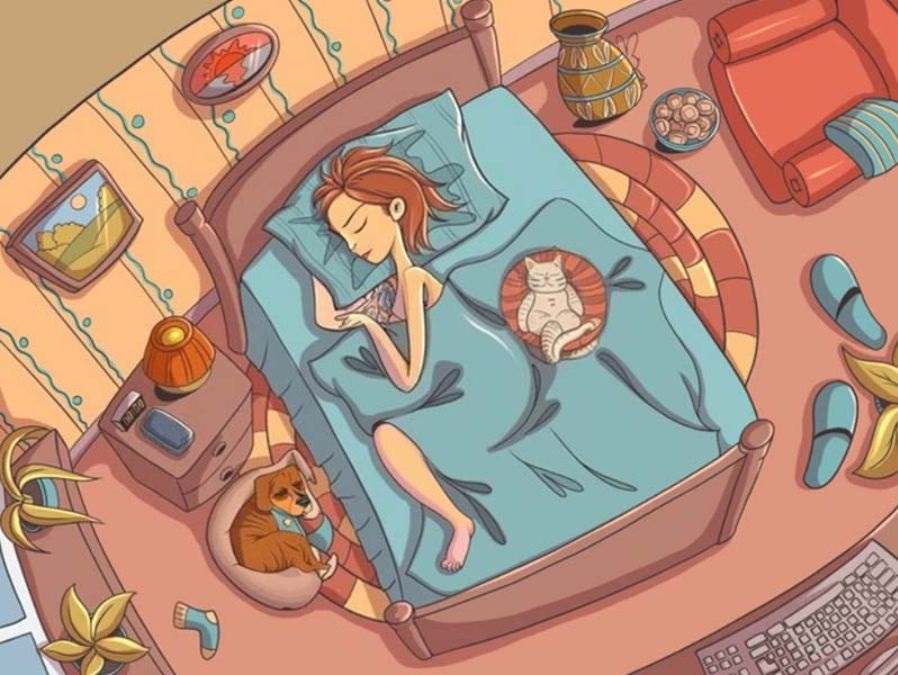 خرگوش را پیدا کنید