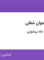 استخدام فروشنده و آبدارچی در فروشگاه دنیای ماه پیشونی در تهران