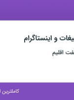استخدام کارشناس تبلیغات و اینستاگرام در آکادمی زبان هفت اقلیم در ۴ استان