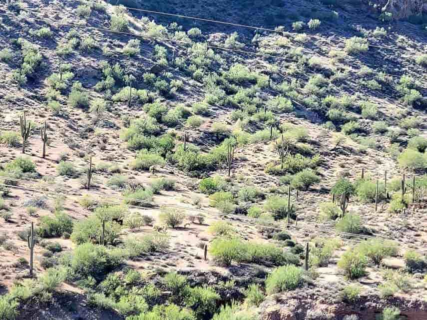 اسب را پیدا کنید