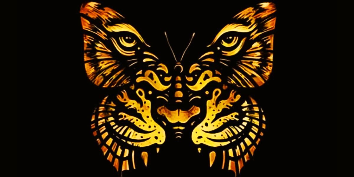 تست شخصیت شناسی