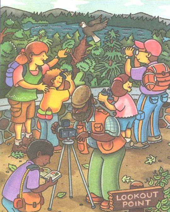 چکش را پیدا کنید