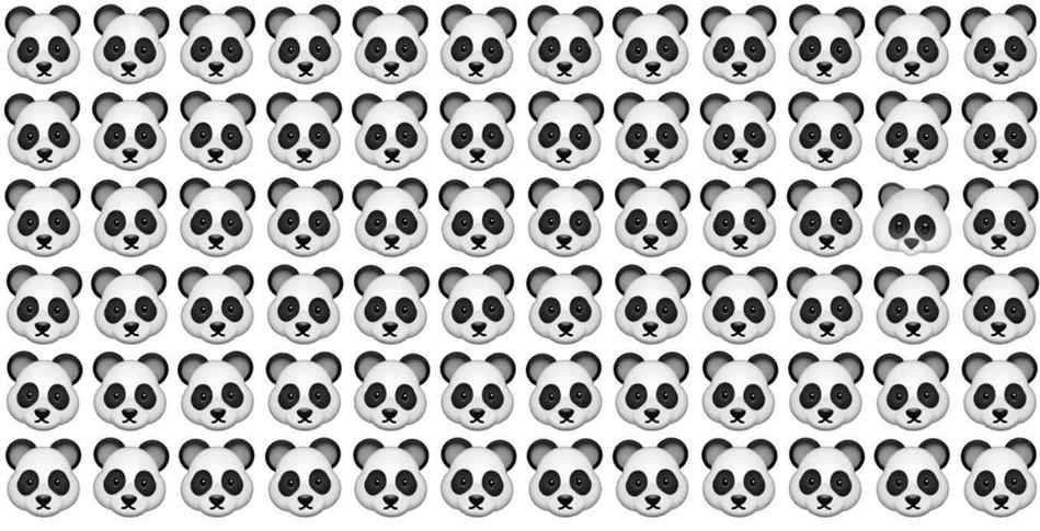 تست بینایی راکون