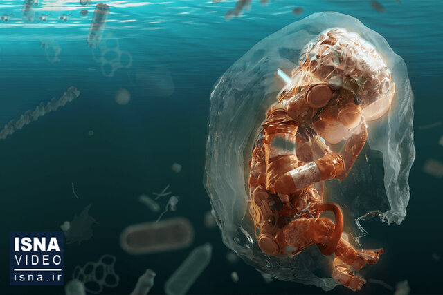 ویدیو/ راهیابی میکروپلاستیک‌ها به درون جفت جنین!