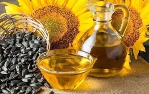 فواید روغن آفتابگردان – ایسنا