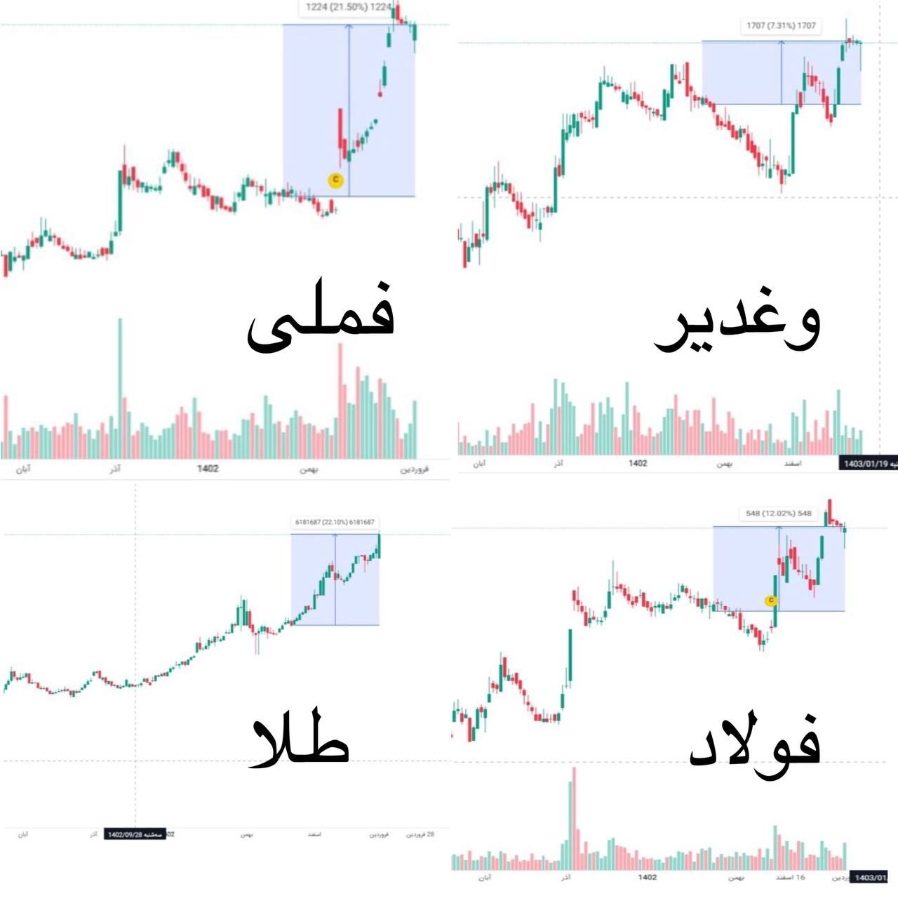 تحلیلی برای یک خرید مطمئن بورسی در سال ۱۴۰۳/ کدام نمادها سبد سهامداران را بیمه می‌کنند؟