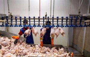 ترفند مغازه داران برای گرانفروشی ۲ برابری مرغ / قیمت مرغ در بازار چند؟