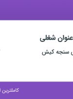 استخدام ۱۲ عنوان شغلی در تولیدی بازرگانی سنجه کیش در تهران