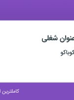 استخدام ۵ عنوان شغلی در خانه هوشمند کوباکو در تهران