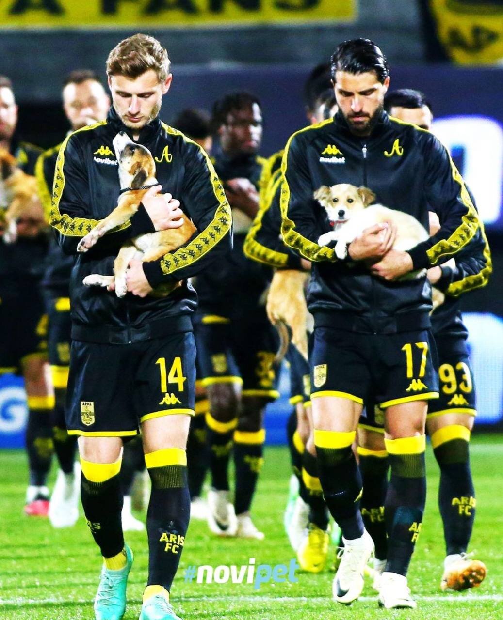 عکس‌| حمایت جالب ستاره ایرانی از حیوانات خانگی