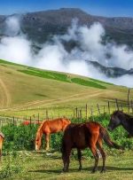 10 شهر خوش آب و هوا و کم رطوبت شمال در تابستان