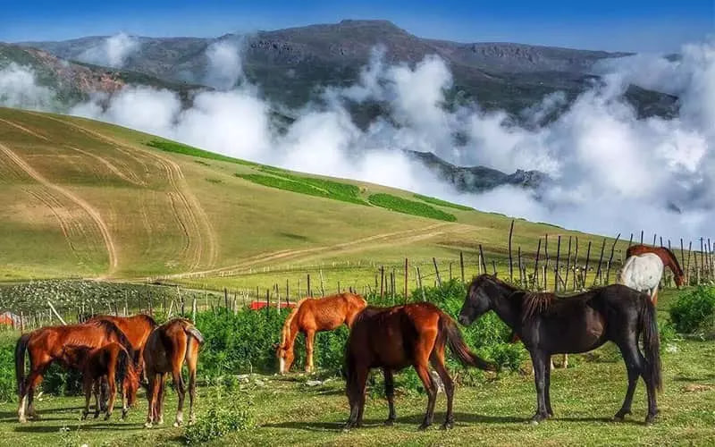 ییلاق سوباتان