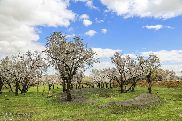 سفر تابستانی به شهرهای خنک ایران