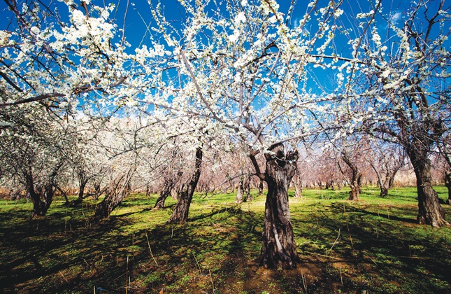 سفر تابستانی به شهرهای خنک ایران