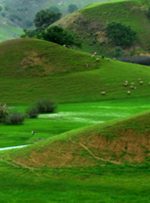 ۱۰ پیشنهاد برای سفر تابستانی به شهرهای خنک ایران!