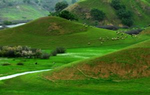 ۱۰ پیشنهاد برای سفر تابستانی به شهرهای خنک ایران!