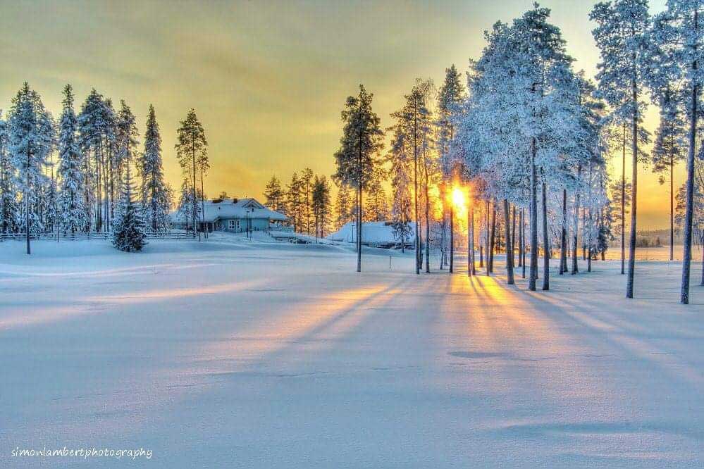 سختی های زندگی در فنلاند