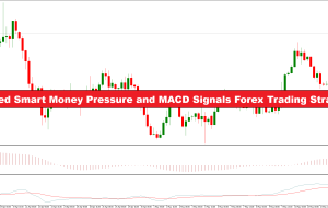 هموارسازی فشار پول هوشمند و سیگنال های MACD استراتژی تجارت فارکس