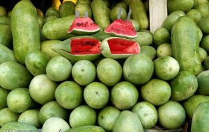 جایگزینی هندوانه ایران با هندوانه عربستان در امارات!