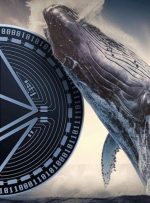 نهنگ بزرگ ۸ هزار اتریوم فروخت!