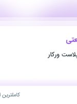 استخدام حسابدار صنعتی در تولیدی کفش پلاست ورکار در رباط کریم تهران