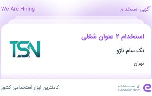 استخدام کمک حسابدار و حسابدار در تک سام ناژو در تهران