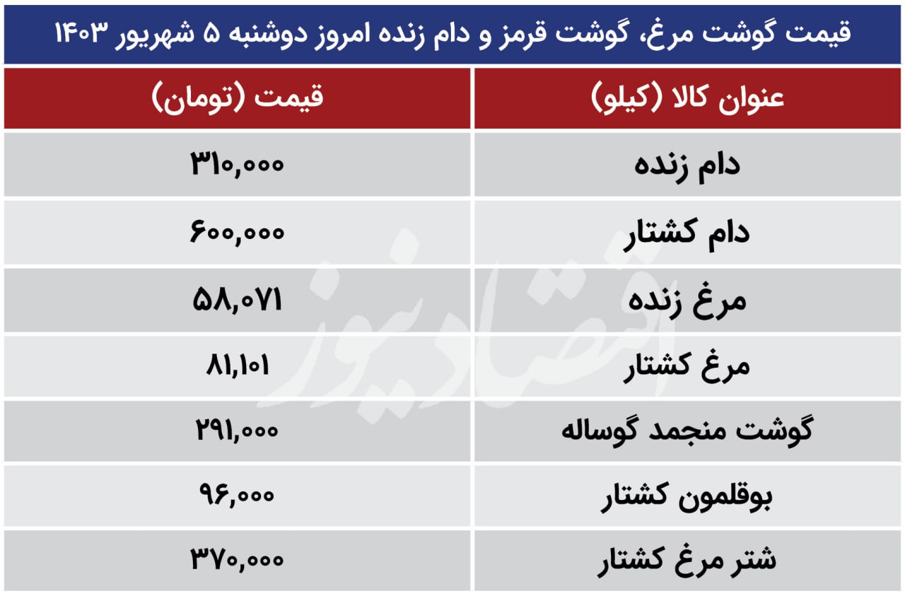 photo_2024-08-26_10-52-58