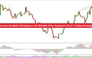 استراتژی تجارت فارکس واگرایی اسیلاتور عالی و انفجار Waddah Attar