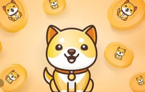 بیبی دوج کوین در بایننس لیست شد! / تحلیل قیمت ارز دیجیتال بیبی دوج