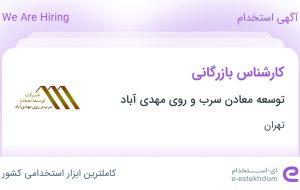 استخدام کارشناس بازرگانی در توسعه معادن سرب و روی مهدی آباد در تهران