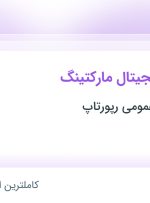 استخدام کارشناس دیجیتال مارکتینگ در آژانس روابط عمومی رپورتاپ در تهران