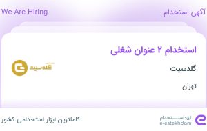 استخدام کارشناس فروش سازمانی و کارشناس ارتباط با مشتری در گلدسیت در تهران