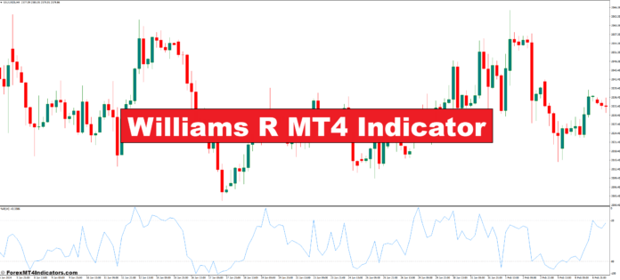 نشانگر ویلیامز R MT4